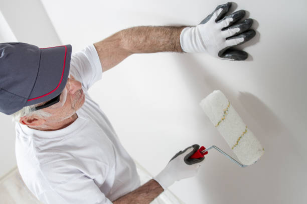 Best Mold Documentation for Insurance Claims  in Frewsburg, NY