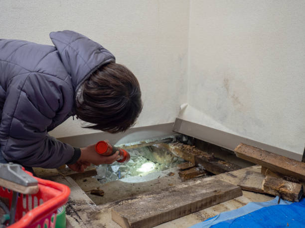 Best Air Quality Testing for Mold Spores  in Frewsburg, NY