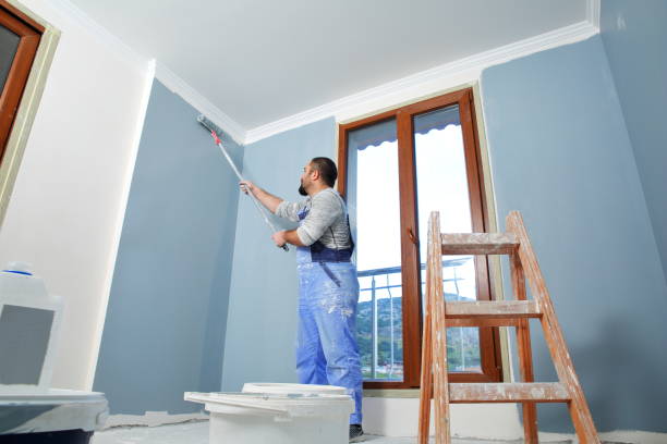 Mold Odor Removal Services in Frewsburg, NY