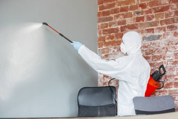 Best HVAC Mold Inspection and Cleaning  in Frewsburg, NY