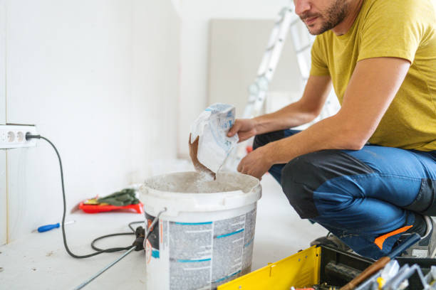 Best Mold Removal for HVAC Installations  in Frewsburg, NY