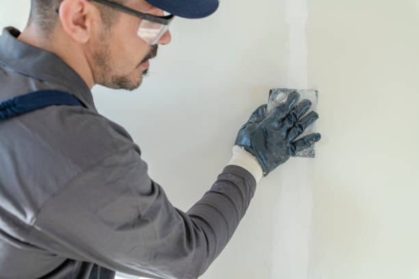 Best Water Damage & Mold Remediation  in Frewsburg, NY