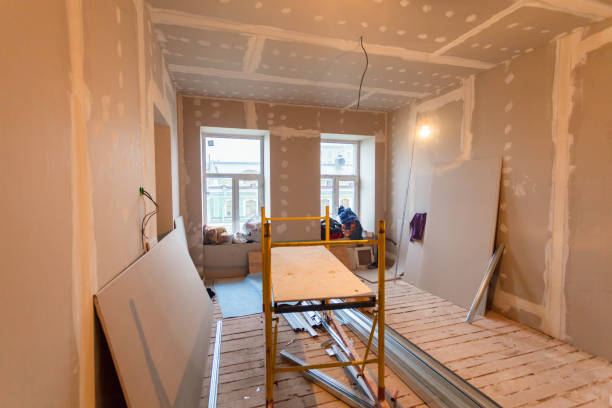 Best Mold Remediation for Healthcare Facilities  in Frewsburg, NY